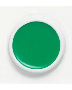 Spirit Halloween Green Grease Makeup