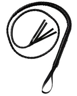 Spirit Halloween Braided Whip