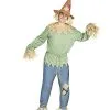 Spirit Halloween Adult Scarecrow Costume -Spooky Costume Store 01312115 a