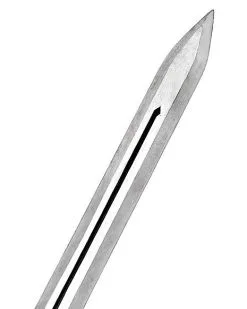 Spirit Halloween Lion Sword 7 Spirit Halloween Lion Sword -Spooky Costume Store 01424944 c