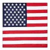Spirit Halloween Americana Bandana -Spooky Costume Store 01508548 a