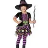 Spirit Halloween Toddler Sparkling Witch Costume 1 Spirit Halloween Toddler Sparkling Witch Costume -Spooky Costume Store 01529031 a