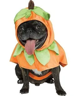 Spirit Halloween Pumpkin Pet Costume