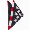 Spirit Halloween American Flag Bandana -Spooky Costume Store 03034204 a