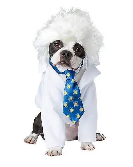 Spirit Halloween Einstein Pet Costume 3 Spirit Halloween Einstein Pet Costume