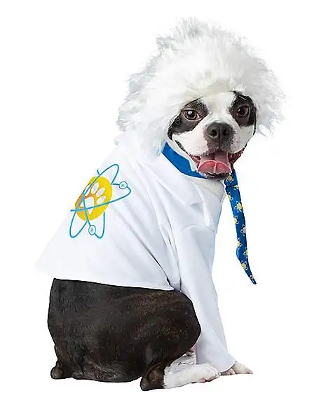 Spirit Halloween Einstein Pet Costume 4 Spirit Halloween Einstein Pet Costume - Image 2