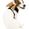 Spirit Halloween Orange Web Wings Pet Harness