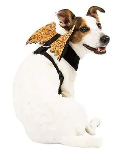 Spirit Halloween Orange Web Wings Pet Harness