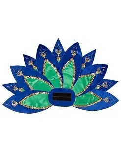Spirit Halloween Kids Peacock Costume -Spooky Costume Store 07522022 d