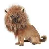 Spirit Halloween King Of The Jungle Pet Costume -Spooky Costume Store 07581432 a