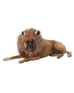 Spirit Halloween King Of The Jungle Pet Costume -Spooky Costume Store 07581432 b